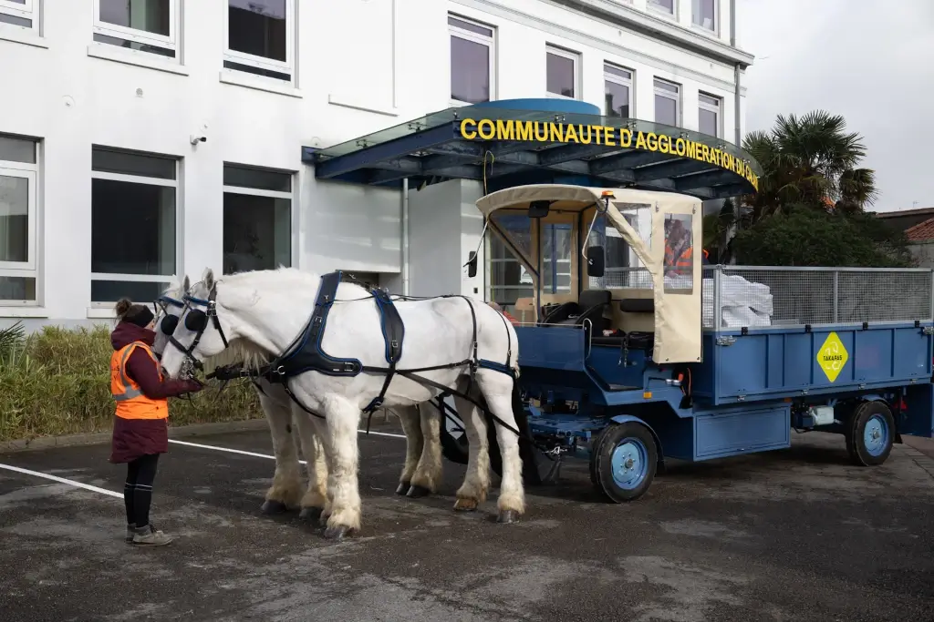 Collecte hippomobile